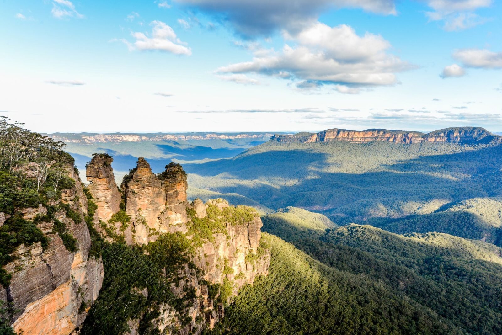 Blue Mountains Association of Cultural Heritage Organisations Incorporated logo